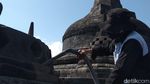 Petugas Bersihkan Abu Merapi dari Candi Borobudur