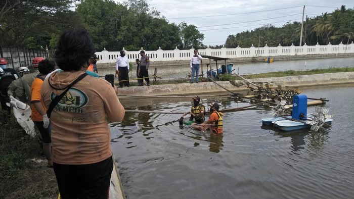 Petugas mengevakuasi jasad korban yang tewas di tambak udang di Kulon Progo, Senin (22/6/2020).