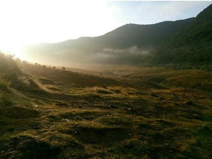 Terlalu, Pendaki Bugil Pose di Kawasan Paling Sakral Gunung Gede Pangrango