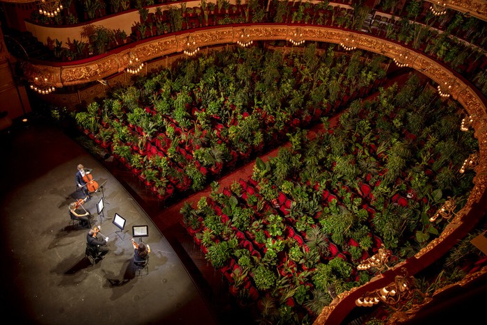 APTOPIX Virus Outbreak Spain Musicians rehearse at the Gran Teatre del Liceu in Barcelona, Spain, Monday, June 22, 2020. The Gran Teatre del Liceu reopens its doors, in which the 2,292 seats of the auditorium will be occupied on this occasion by plants. It will be on 22 June, broadcast live online, when the UceLi Quartet string quartet performs Puccini's