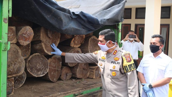 Barang bukti hasil pembalakan liar.