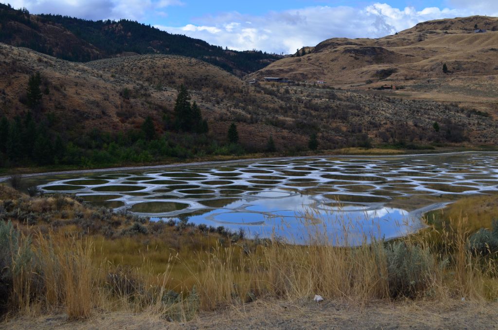 The Spotted Lake near Osoyoos Canada is a saline alkali lake that creates the circles when it dries out in the summer.