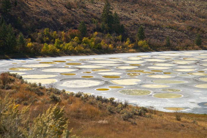 The Spotted Lake near Osoyoos Canada is a saline alkali lake that creates the circles when it dries out in the summer.