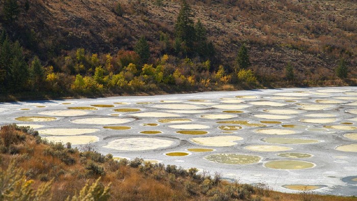 The Spotted Lake near Osoyoos Canada is a saline alkali lake that creates the circles when it dries out in the summer.