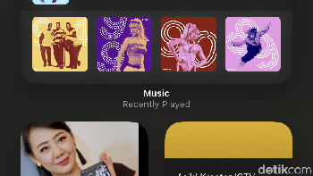 Koleksi Widget yang disediakan iOS 14. Foto: Adi Fida Rahman/detikINET