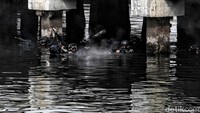 Kopaska meluncur dalam keheningan agar tak terdeteksi oleh musuh.