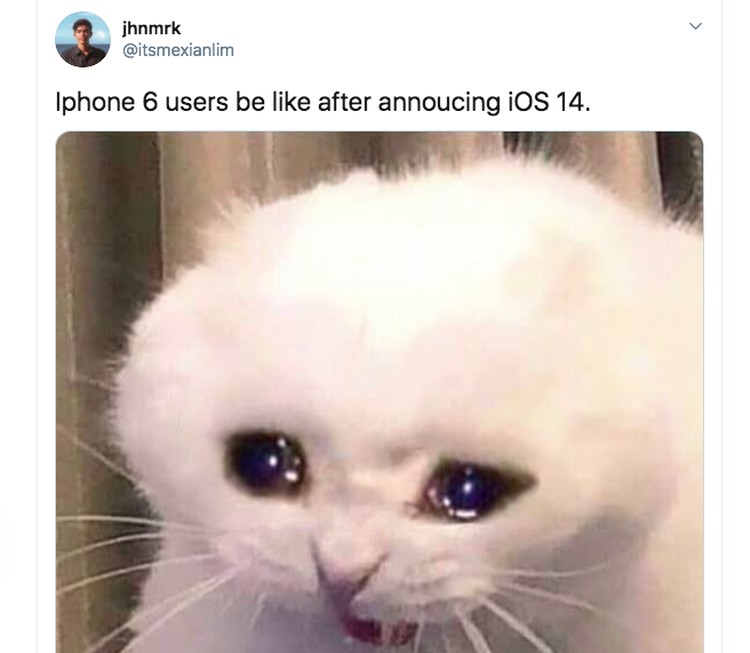 Meme iOS 14