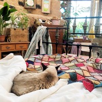 Walaupun pasangan tersebut sangat menyukai rumah Earthship milik mereka, namun keduanya mengakui bahwa terkadang mereka harus menghadapi serangan rayap dan cacing kayu di lingkungan yang mudah banjir itu. Tapi bagi Davies dan Buchananhal itu bukanlah masalah besar dan mereka tidak pernah menyesal telah membangun rumah Earthshipnya. Foto: dok. Laura Davies