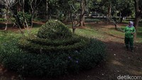 Hanya petugas yang beraktivitas di taman tersebut. Mereka terlihat merawat tanaman agar tetap asri.