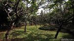 PSBB Transisi, Taman Tanjung Masih Ditutup