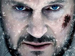 Sinopsis The Grey di Bioskop Trans TV, Dibintangi Liam Neeson