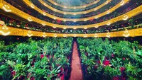 Bukan tanpa alasan. Menurut penelitian, memainkan musik untuk tanaman bisa mendorong pertumbuhannya semakin baik. (Gran Teatre del Liceu/instagram)