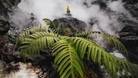 Sudah bisa dipastikan berfoto di kawasan ini akan menghasilkan gambar yang epik! (dok. Perhutani KPH Bandung Selatan)