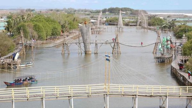 Hutan Mangrove Pantai Congot Kulon Progo Hutan Mangrove Pantai Congot Kulon Progo