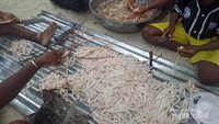 Saat berkunjung ke Ayau wisatawan bisa melakukan diving atau snorkeling atau surfing di pantai-pantainya yang eksotis. Jelajahi pula hamparan pasir putih hingga menangkap insonem atau cacing laut yang hidup di hamparan pasir putihnya. 