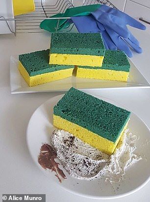 Kue vanilla berbentuk spons pencuci makanan