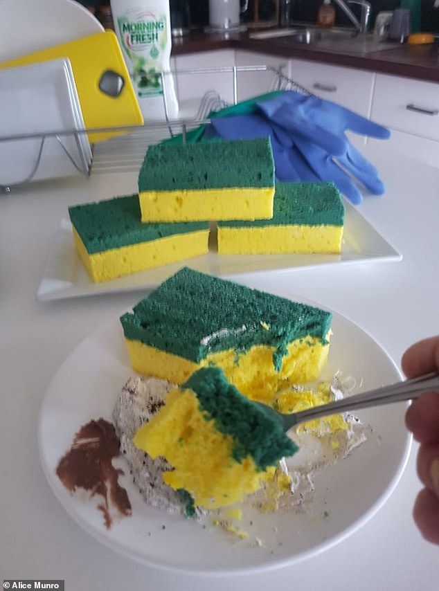 Kue vanilla berbentuk spons pencuci makanan