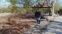 Seorang pengunjung berfoto dengan menjangan atau rusa.