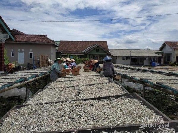 Pulau Pasaran penghasil ikan teri