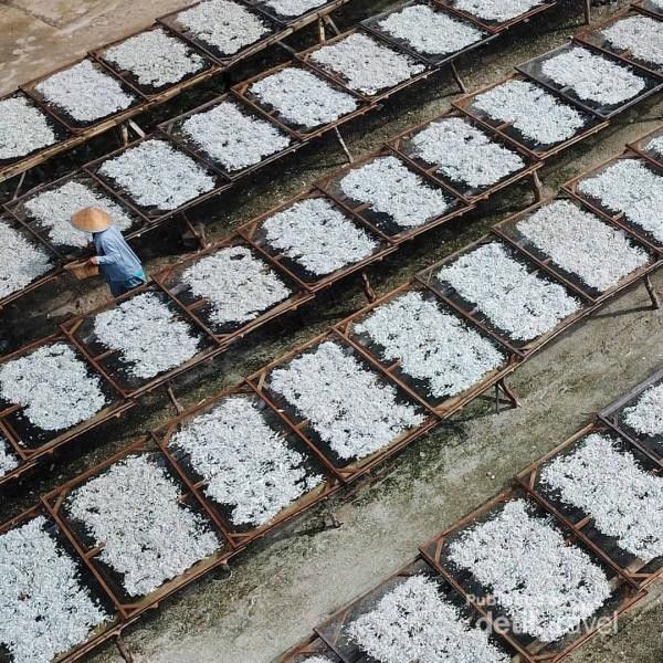 Pulau Pasaran penghasil ikan teri