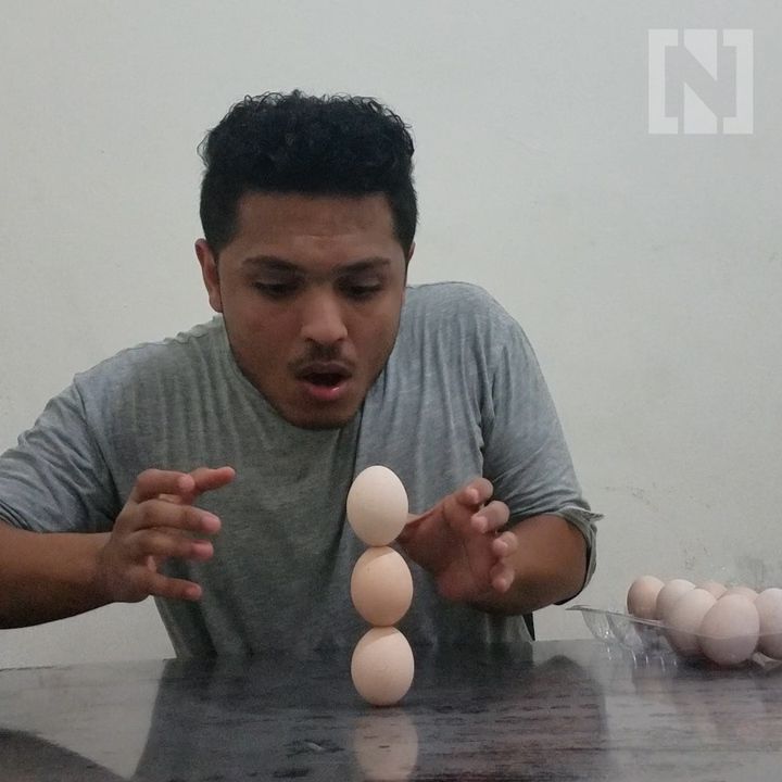 Rekor Dunia Menyusun Telur