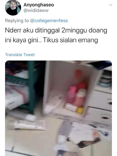 twitter rayap twitter rayap