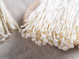Mengandung Bakteri Listeria, Kementan Musnahkan Jamur Enoki