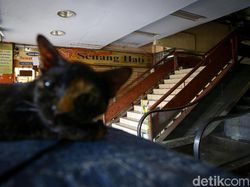 Kini Giliran Pasar Palmerah Tutup Sementara