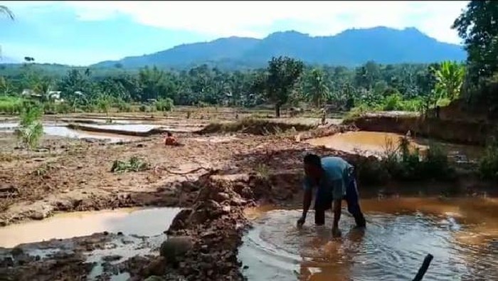 Banjir di Bengku Tengah (dok. Istimewa)