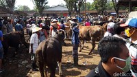Sejumlah protokol kesehatan mulai diterapkan di pasar hewan tersebut sebagai salah satu upaya untuk mencegah penyebaran virus Corona.