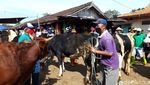 Bermasker, Begini Kesibukan Pedagang Pasar Hewan di Boyolali