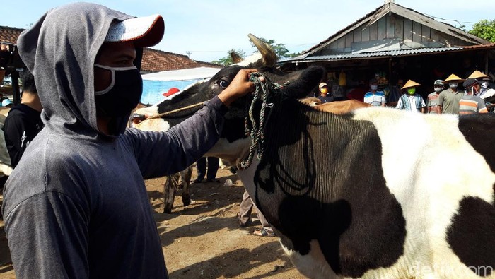 Para pedagang di pasar hewan Sunggingan, Boyolali, tampak beraktivitas dengan kenakan masker. Hal itu merupakan salah satu upaya penerapan protokol kesehatan.