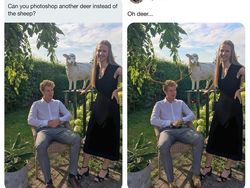 Kocak Parah! Editan Pakar Photoshop Kabulkan Permintaan Netizen