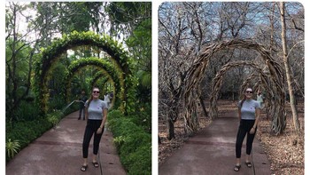 Tamannya jadi kering karena petugas penyiram tanaman hilang. Foto: James Fridman