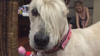 Gaya poni menutup satu mata. (Foto: Brightside)