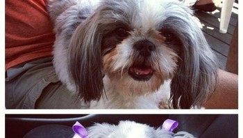 Imutnya kuncir dua pakai pita. (Foto: Brightside)