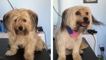 “Aku bisa menjadi supermodel. Di mana aku bisa mengisi aplikasi? (Foto: Brightside)