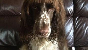 Tampak tidak happy ya. (Foto: Brightside)