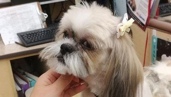 Dia tampak seperti bintang film dari tahun 90-an. (Foto: Brightside)