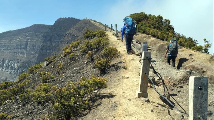 Jalur ke Gunung Pangrango