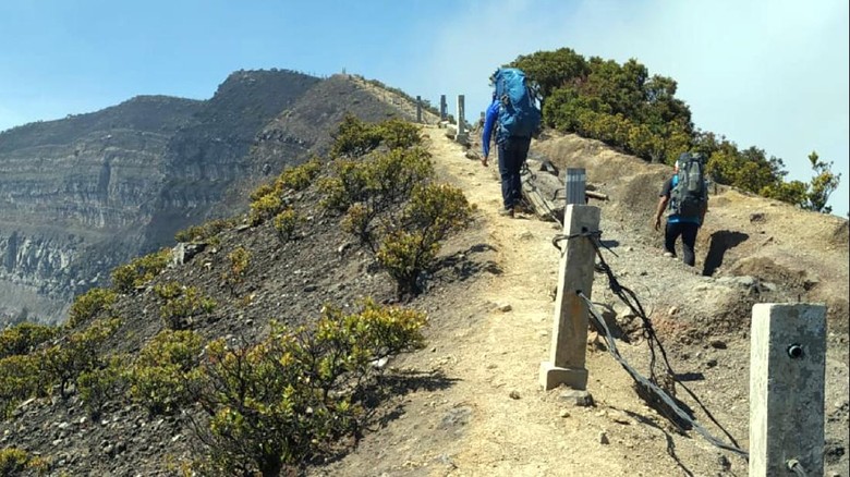 Jalur ke Gunung Pangrango Jalur ke Gunung Pangrango