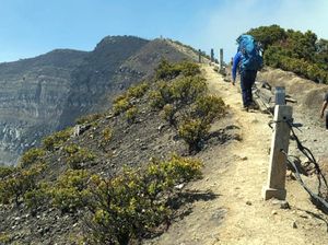 Gunung Gede Pangrango Tengah Pemulihan, Satwa Bisa Berkeliaran