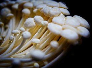 Telanjur Punya Jamur Enoki di Kulkas, Amankah Dikonsumsi? Yuk Tanya Dokter
