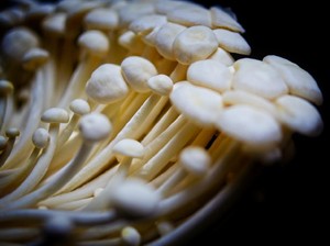 5 Fakta Listeria, Penyakit yang Dikaitkan dengan Jamur Enoki
