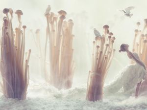 Heboh Jamur Enoki dari Korsel Picu Wabah Listeria di AS, RI Masih Aman