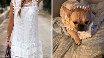 Gaun yang dibeli ternyata cukup untuk digunakan si anjing. (Foto: Boredpanda)