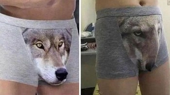 Apa yang ku order vs apa yang diterima (Foto: Boredpanda)