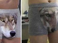 Lucu Tapi Kasihan, Drama Kecele Beli Barang Online