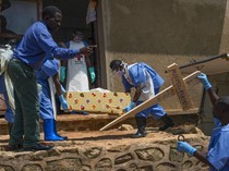 Ebola Darurat Global! Angka Kematian Bisa Capai 90 Persen, Belum Ada Obat-Vaksinnya