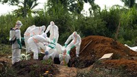 Meski wilayah timut laut Kongo dinyatakan telah berhasil mengatasi wabah Ebola, Kongo masih terus melanjutkan upaya untuk mengatasi virus mematikan itu di bagian barat laut negara tersebut. Dilansir dari AP News, wabah Ebola diketahui telah membunuh sedikitnya 2.280 orang selama hampir 2 tahun di kawasan tersebut. Upaya penanganan wabah ini pun masih terus dilakukan di sejumlah wilayah lainnya. AP Photo/Jerome Delay, File.